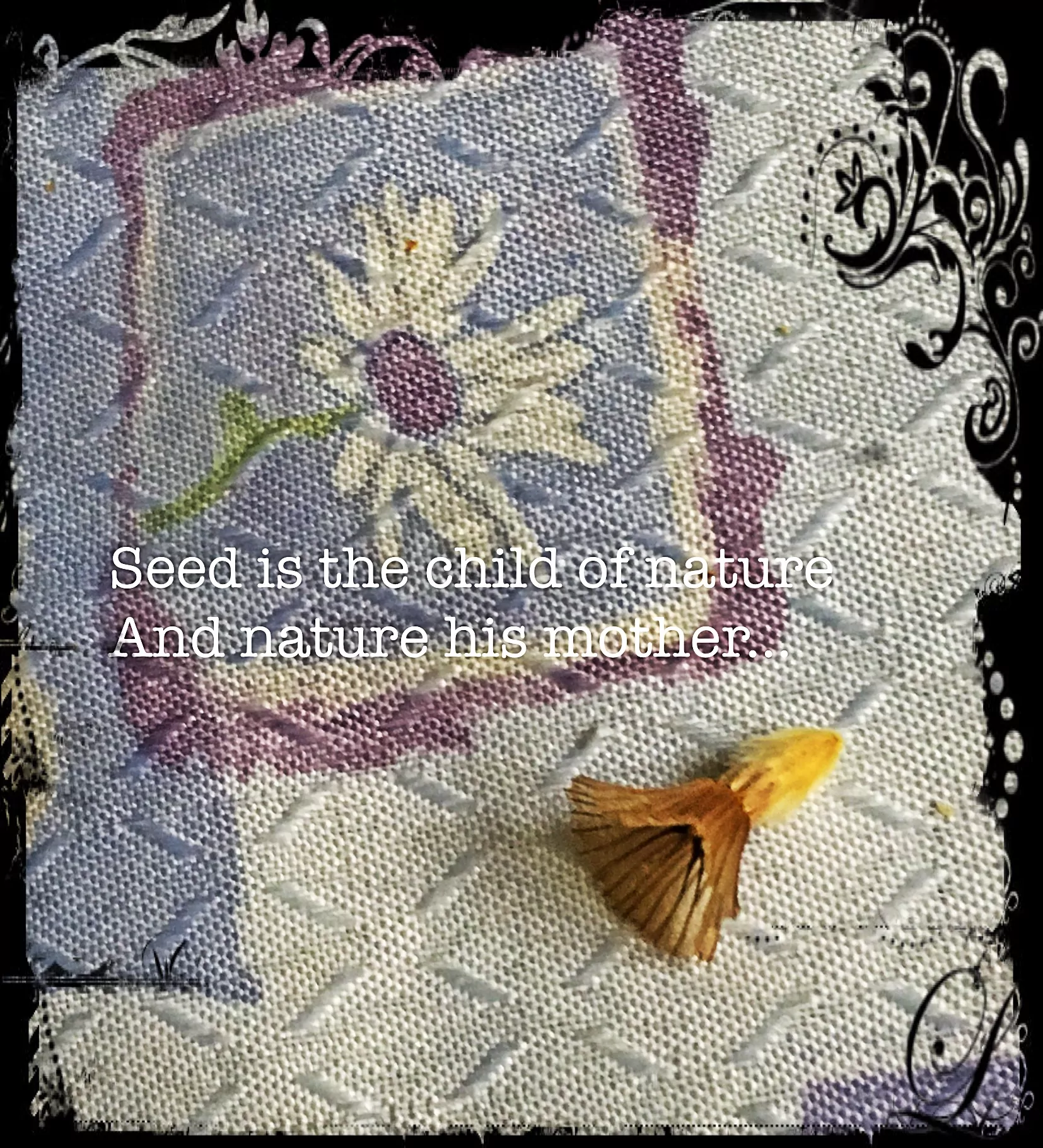 Seed is the child of nature
